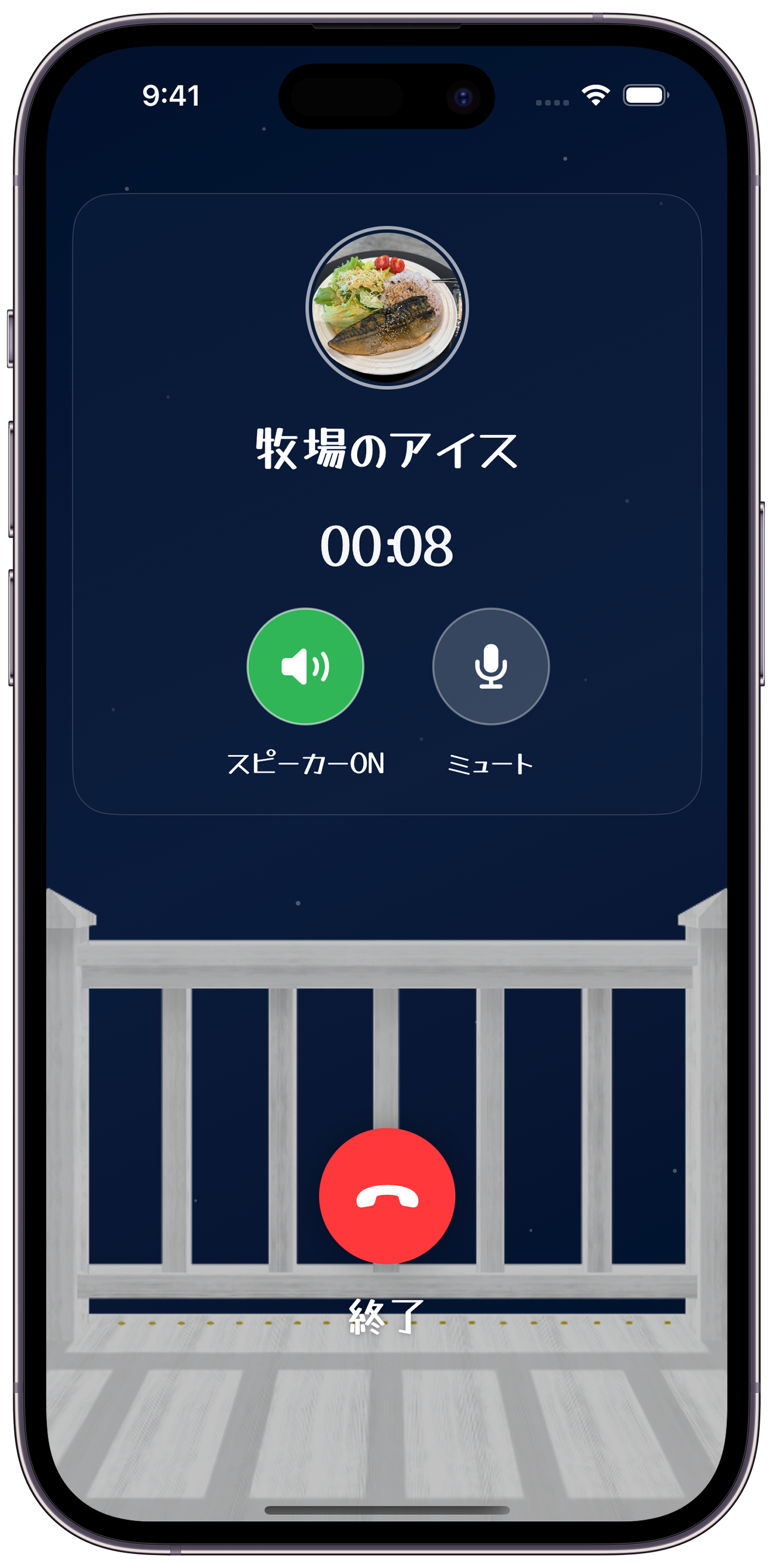 1対1で通話する画面